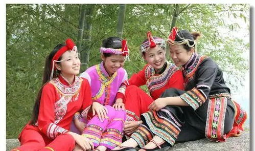 探访畲族民俗文化，感受别样风情！