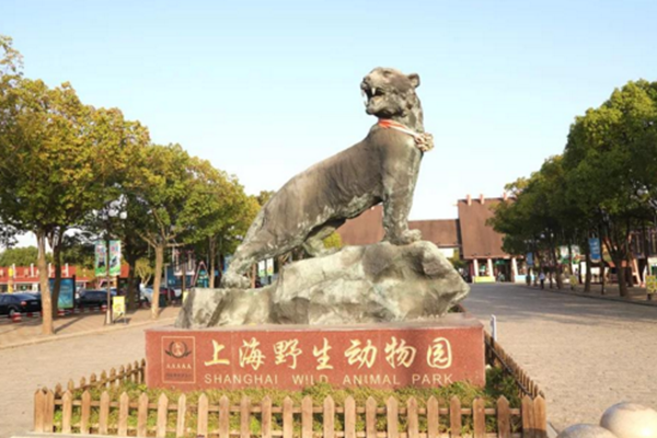 上海野生动物园一日游攻略
