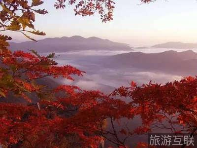 巩义最美红叶节，竹林长寿山！
