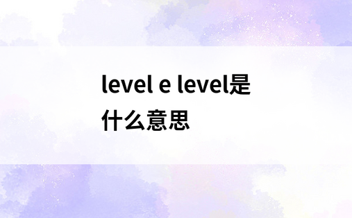 level e level是什么意思